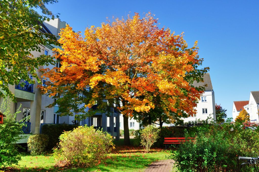 Rote Mühle Quartier im Herbst